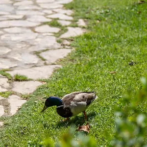 https://garden-beach-torremolinos.es-andalucia.com